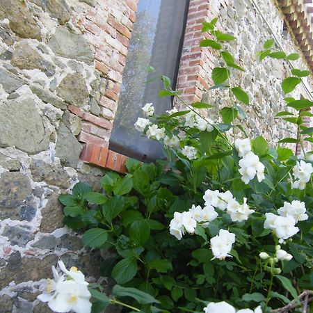 Agriturismo Il Giglio Ористано Екстериор снимка